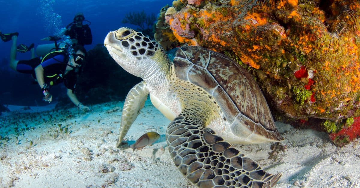 Key Largo, Florida, United States