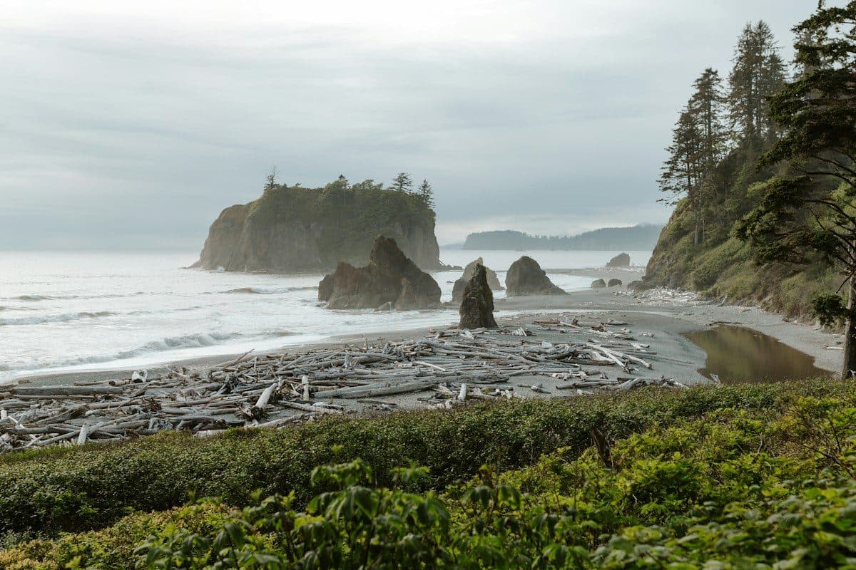 Olympic NP, Washington, United States