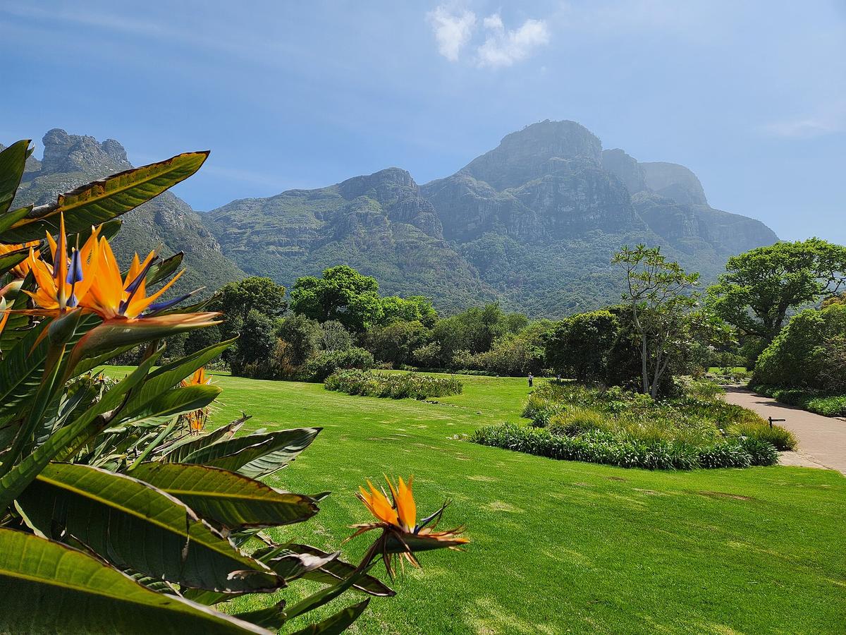 Kirstenbosch National Botanical Garden in Newlands, Cape Town
