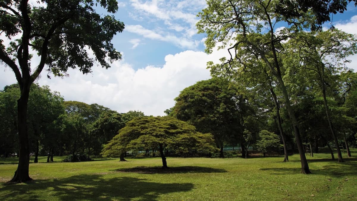 Jardín Botánico de Medellín in Aranjuez, Medellín