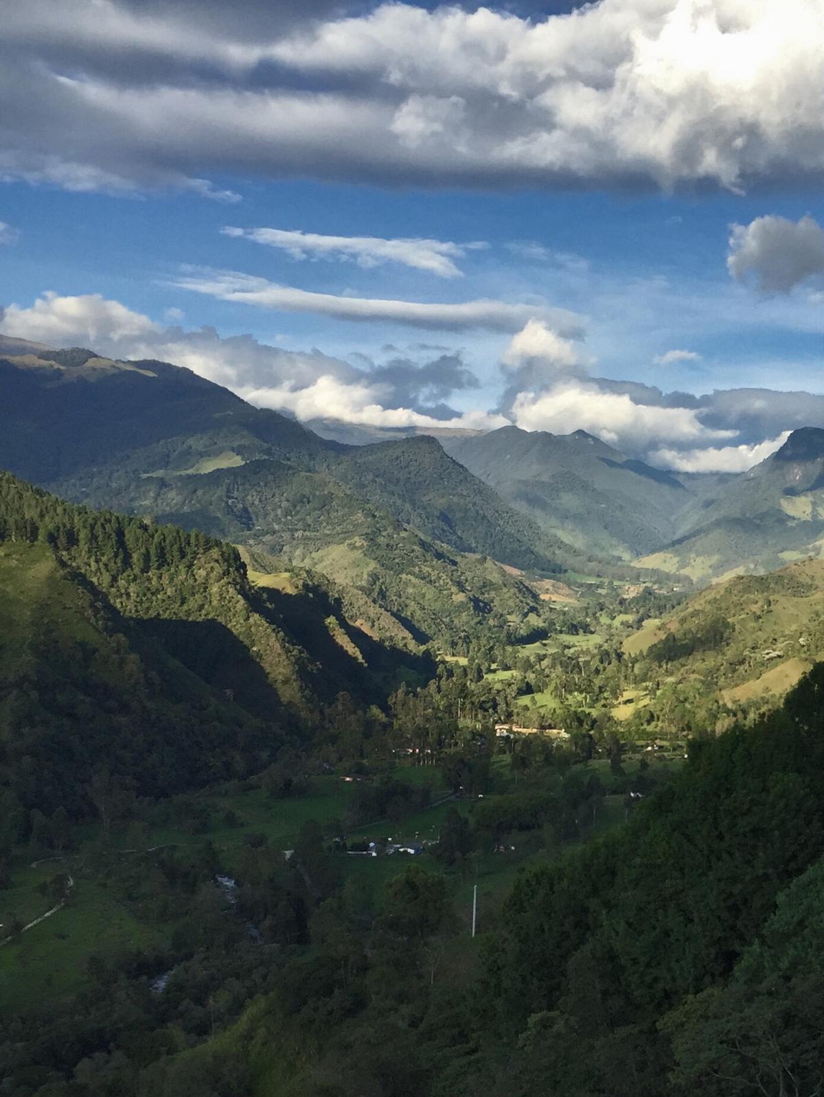 Valle de Cocora in Cocora, Salento