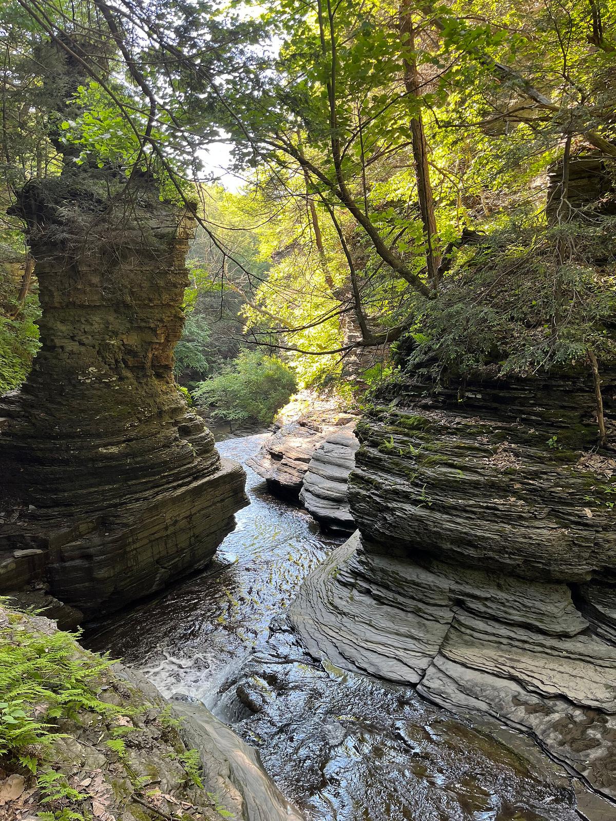 Buttermilk Falls State Park in South Ithaca