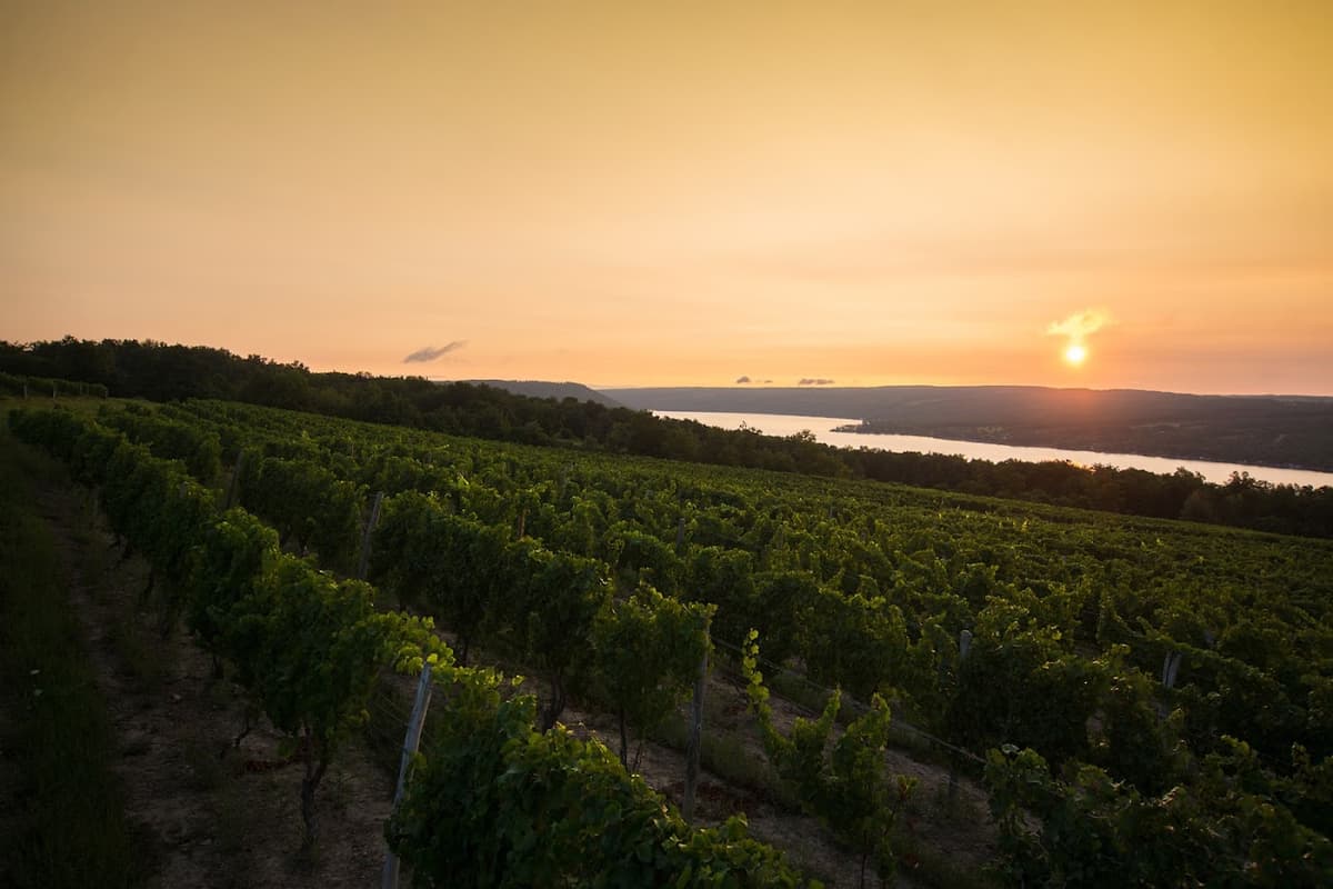 Dr. Konstantin Frank Winery in West Keuka, Keuka Lake