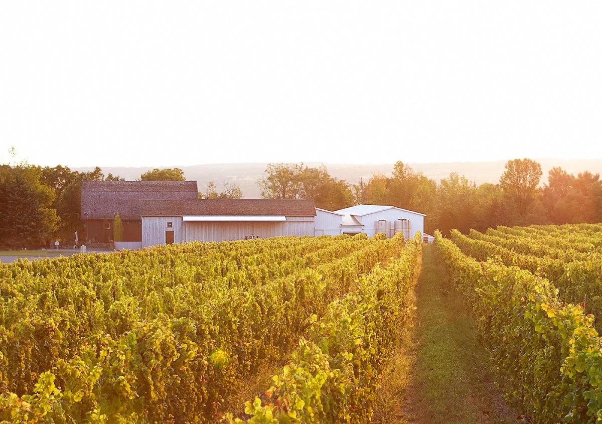 Hermann J. Wiemer Vineyard in West Seneca, Seneca Lake