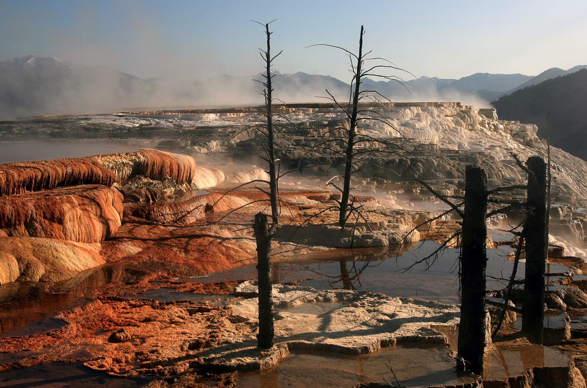 Mammoth Hot Springs Terraces in Mammoth, Yellowstone National Park