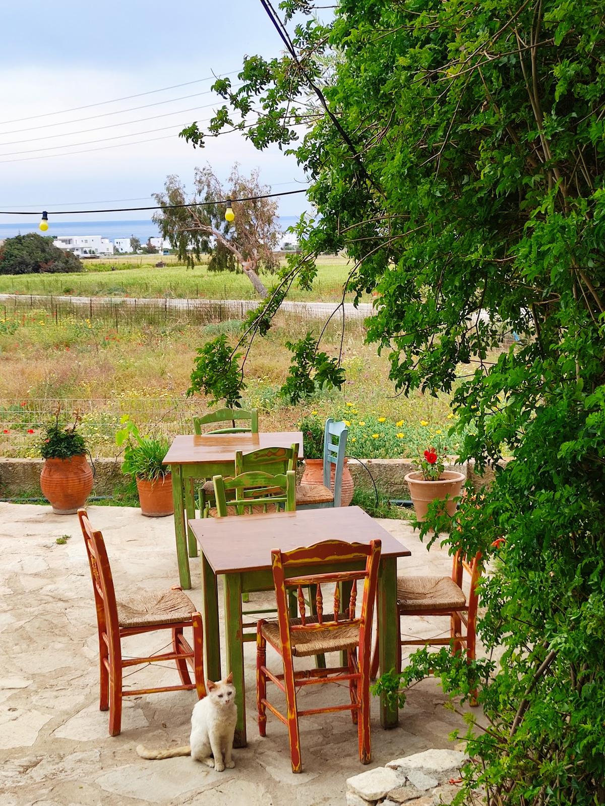 Taverna Axiotissa in Kastraki, Naxos