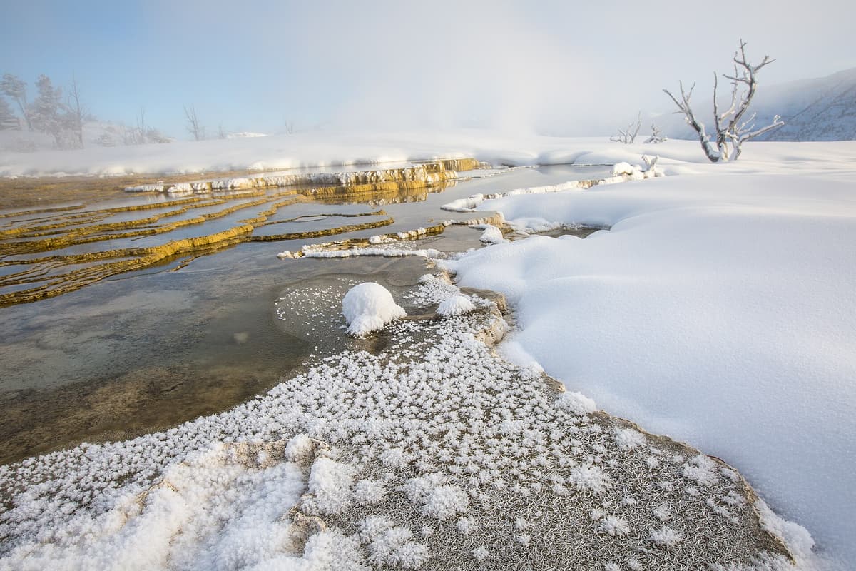 Mammoth Hot Springs in Mammoth, Yellowstone