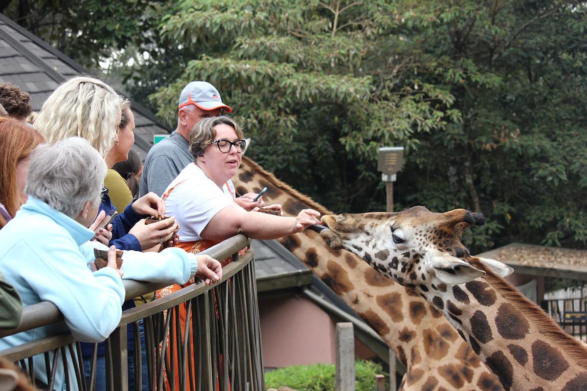 Giraffe Centre in Langata, Nairobi