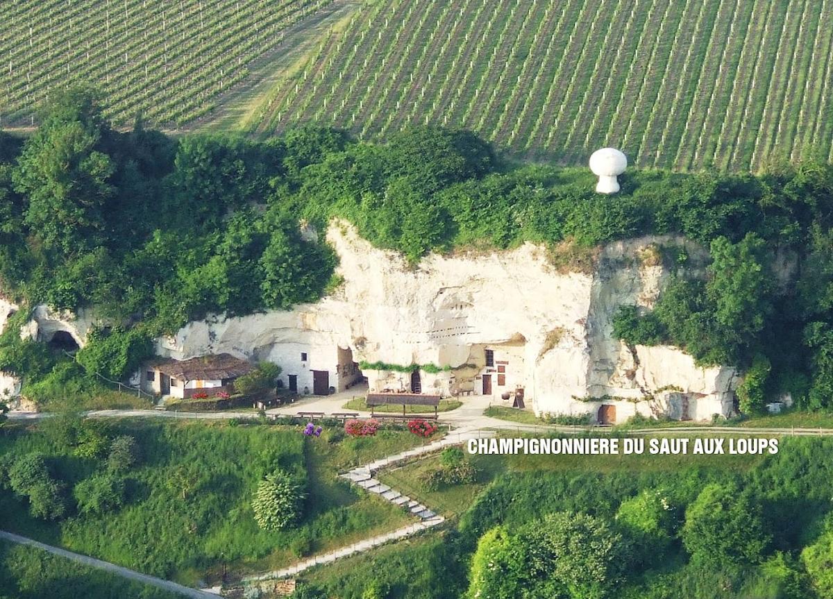 Le Saut aux Loups in Montsoreau, Saumur