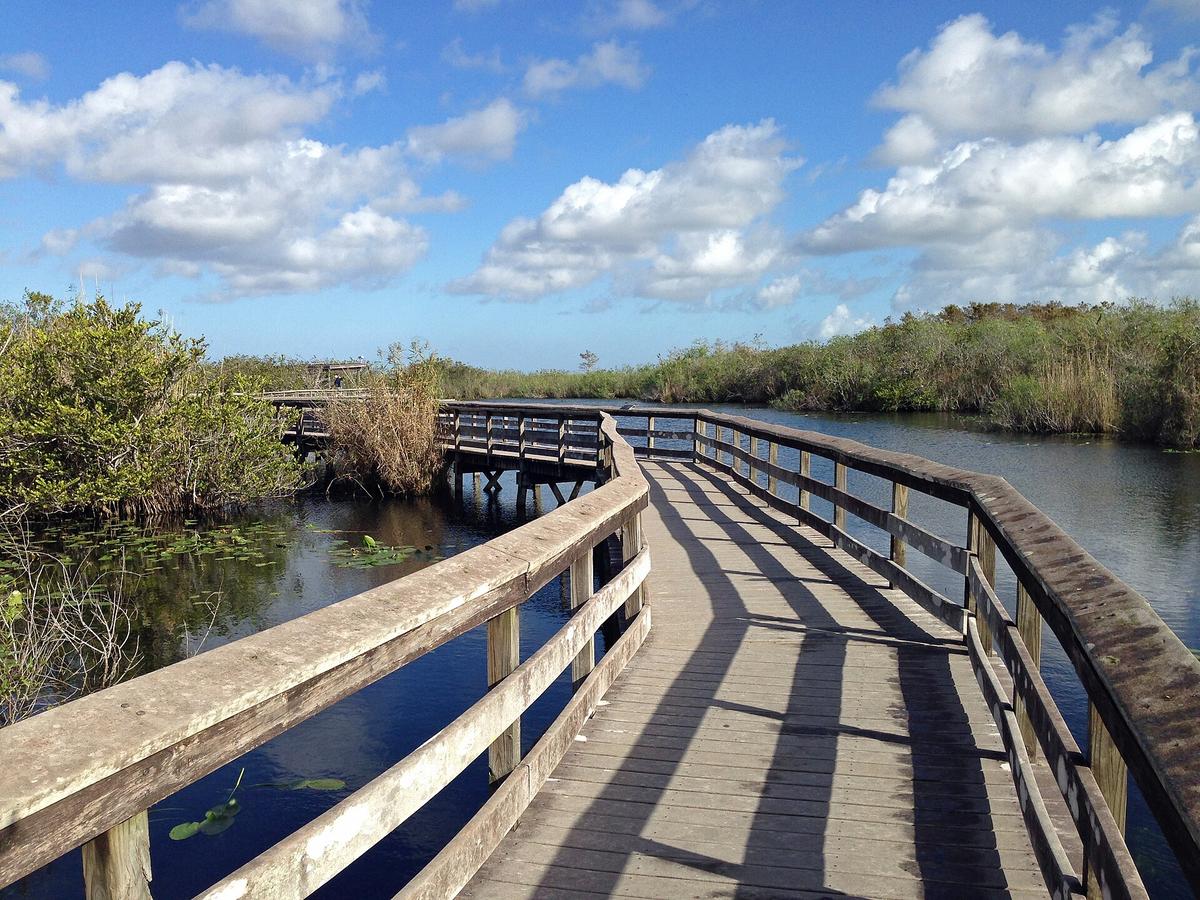 Anhinga Trail in Royal Palm, Everglades