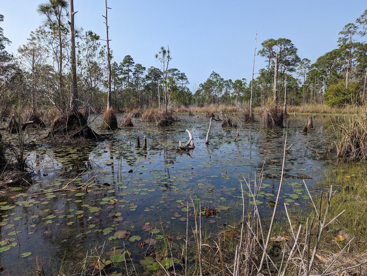 Bon Secour National Wildlife Refuge in Fort Morgan Peninsula, Gulf Shores