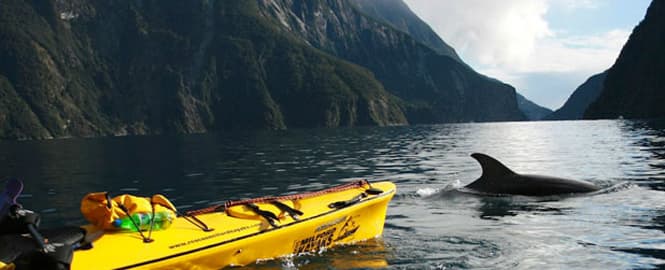 Rosco's Milford Kayaks in Deepwater Basin, Milford Sound