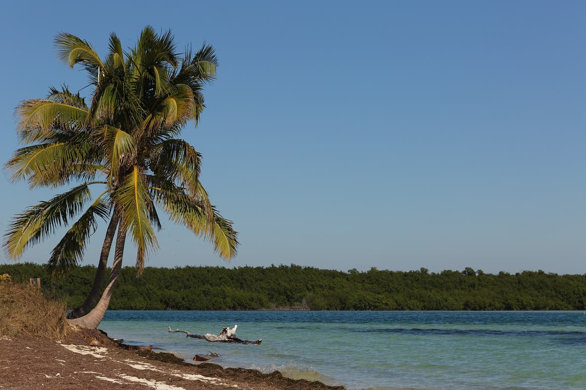 Bahia Honda State Park in Bahia Honda Key, Bahia Honda & the Lower Keys