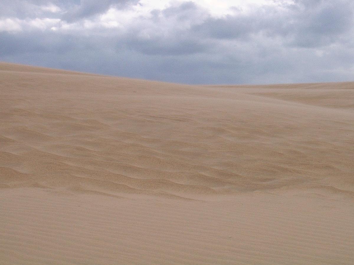 Jockey's Ridge State Park in Nags Head