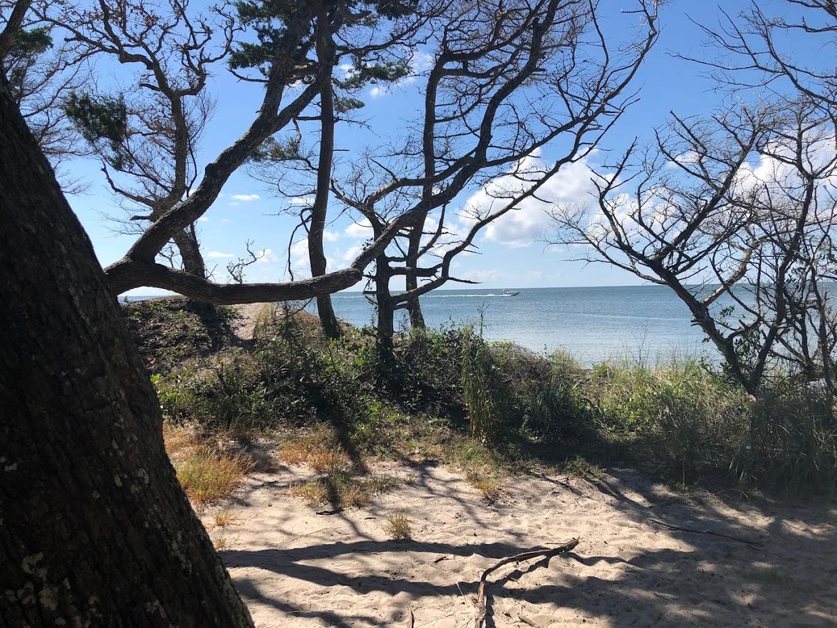 Springer's Point Nature Preserve in Ocracoke Village