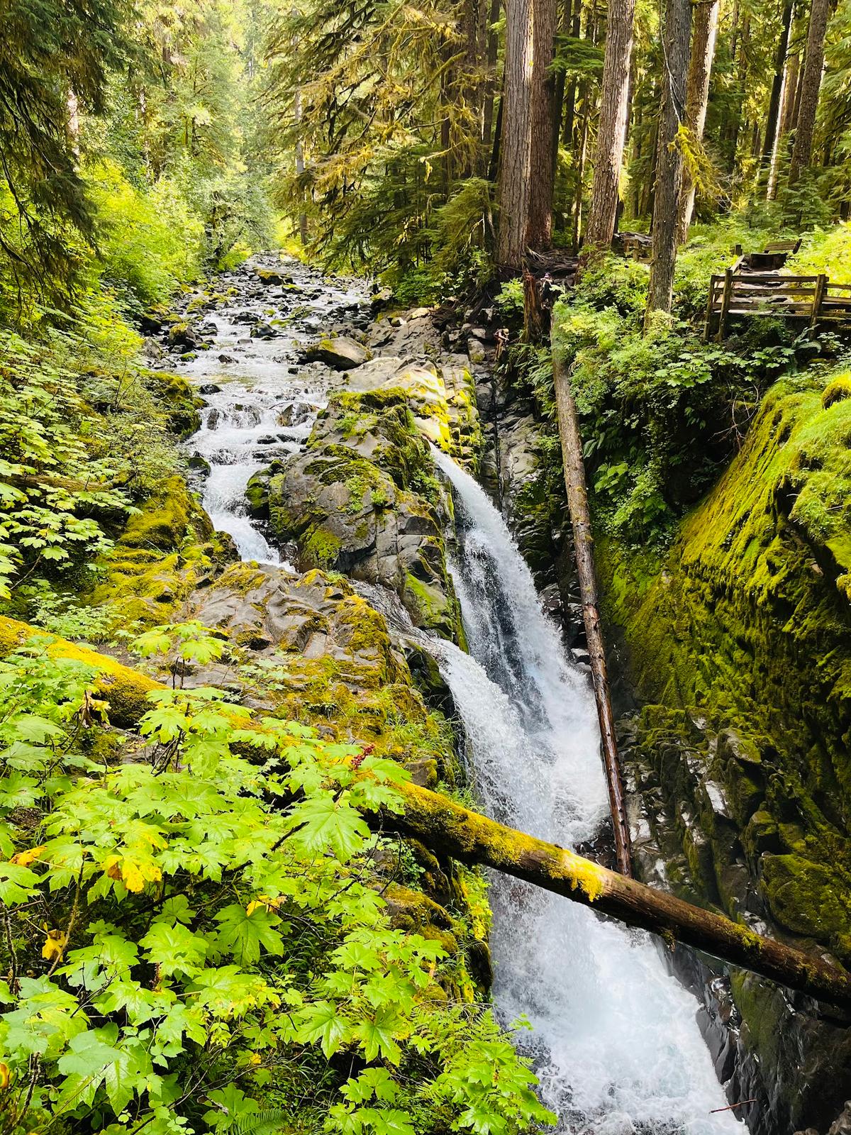 Sol Duc Falls in Sol Duc Valley, Olympic NP