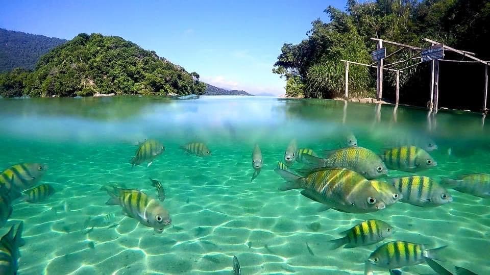 Lagoa Azul in North coast, Ilha Grande