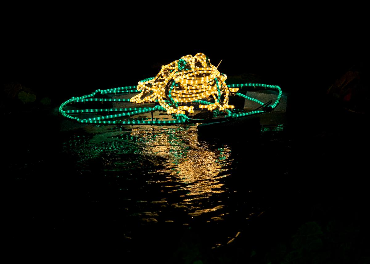 River of Lights in BioPark, Albuquerque