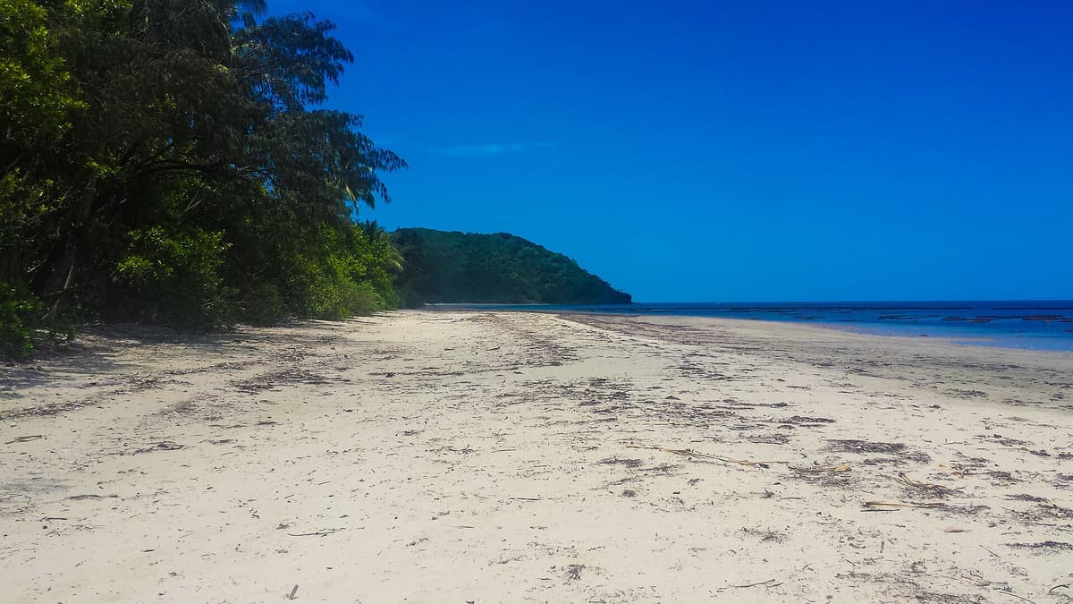 Cape Tribulation in Port Douglas & Daintree