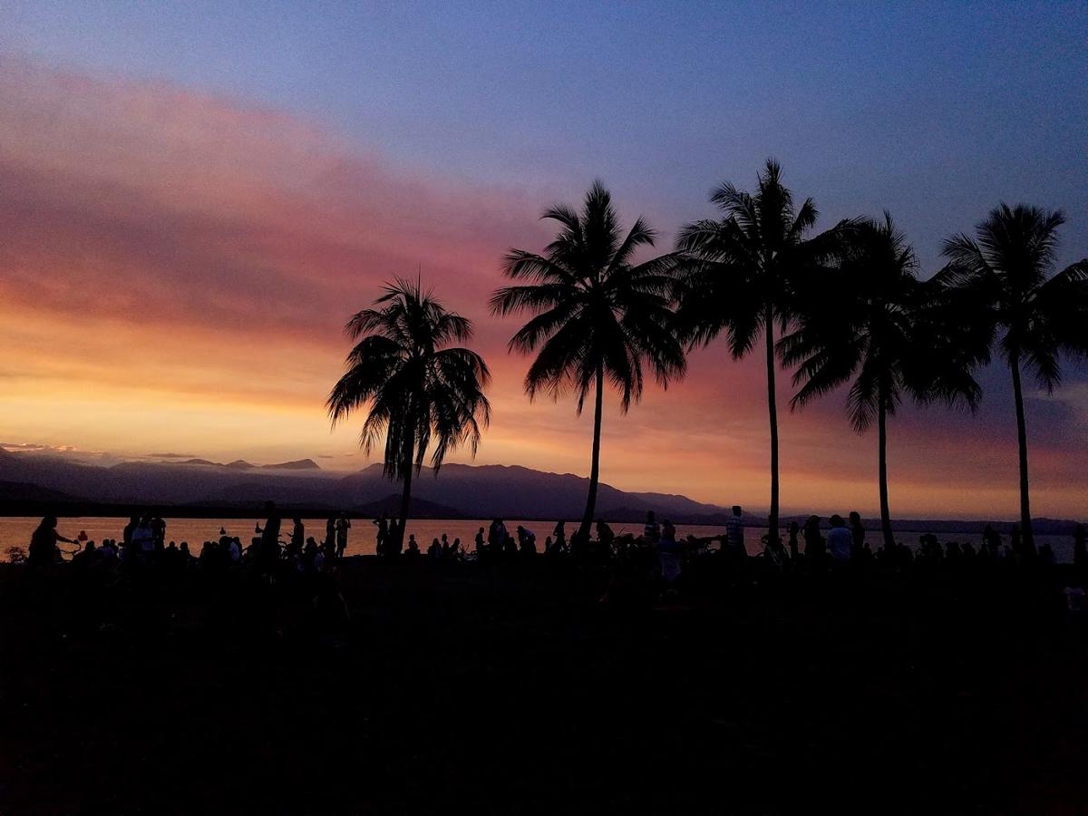 Port Douglas Sunday Market in Port Douglas & Daintree