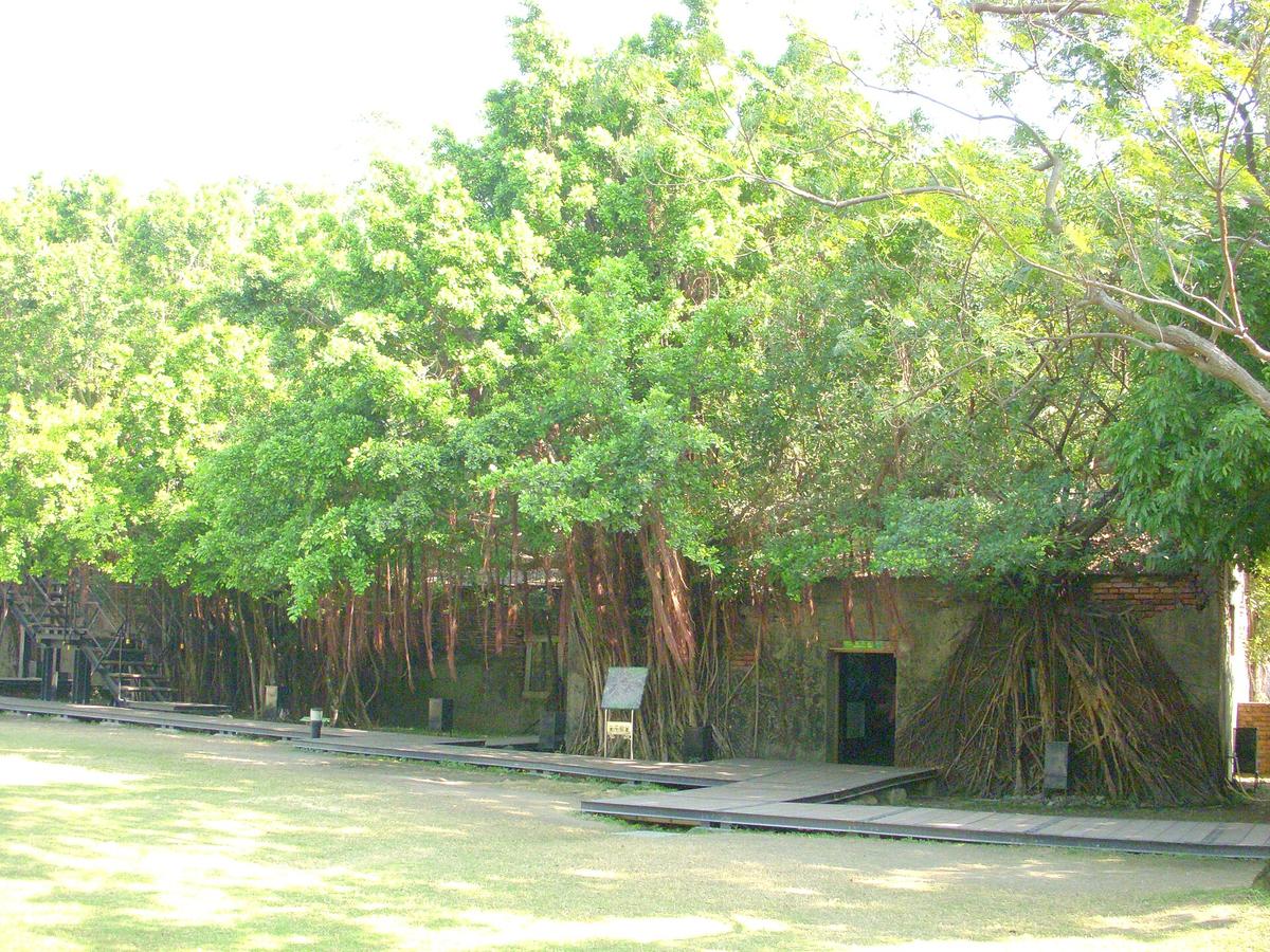 Anping Tree House in Anping, Tainan