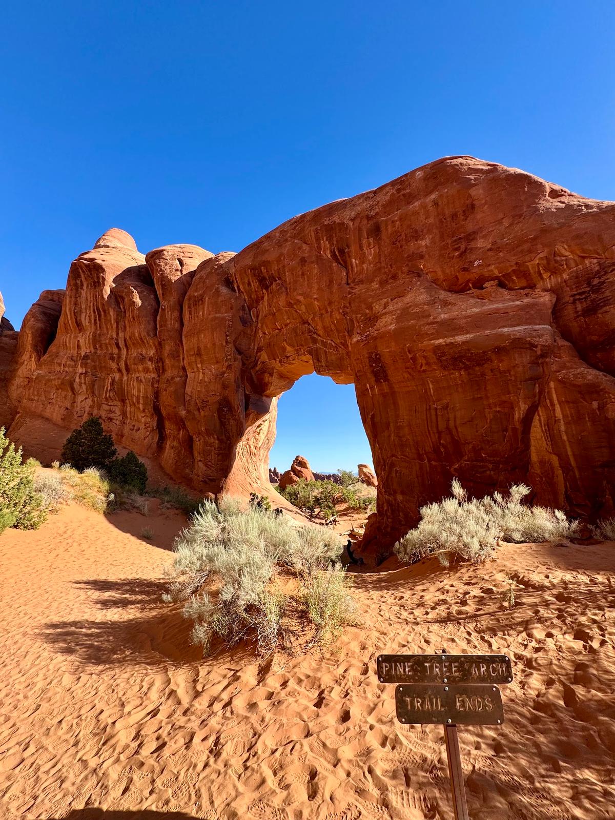 Devils Garden Trail in Devils Garden, Arches