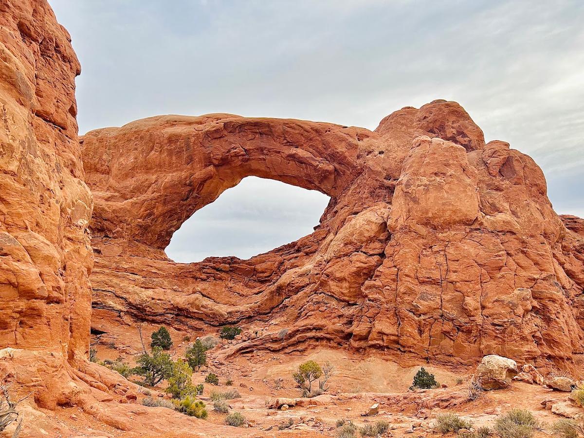 Windows Section in Windows, Arches