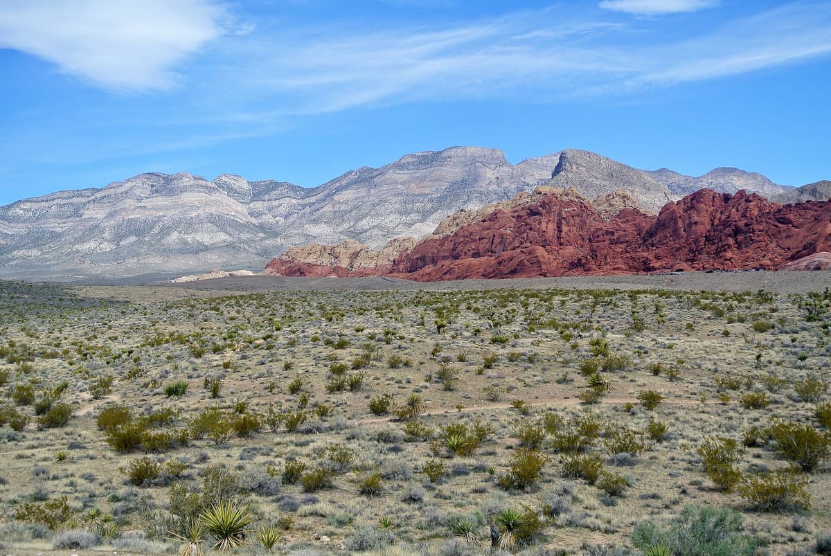 Red Rock Canyon National Conservation Area in Summerlin, Las Vegas