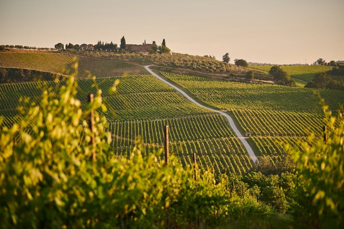 Chianti, Italy