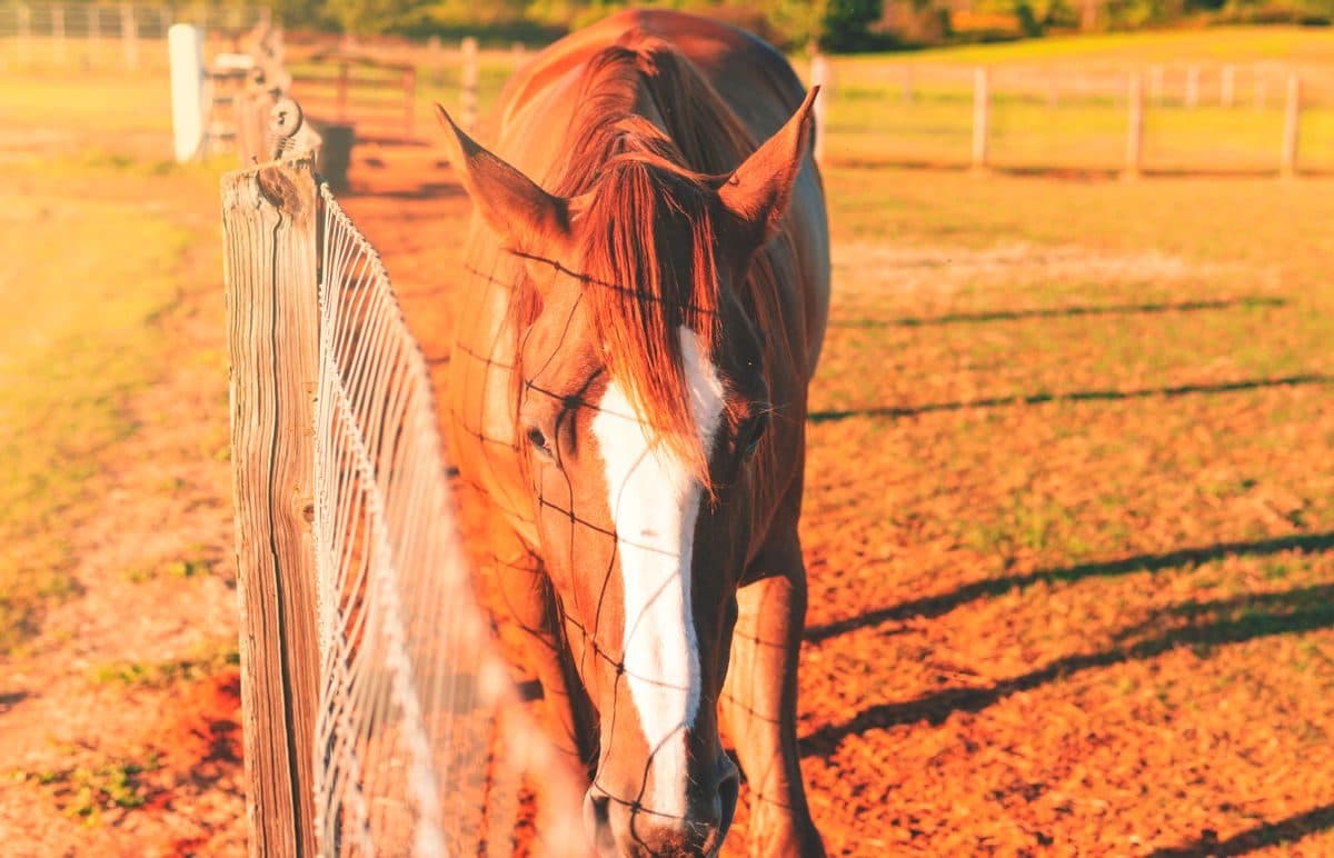 Kentucky Bourbon Country route inspiration
