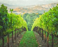 Healdsburg on the California Wine Country route