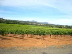 Dry Creek Valley near Healdsburg