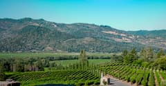 Napa on the California Wine Country route