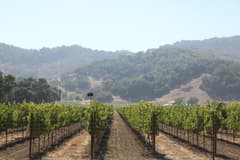 Silverado Trail near Napa