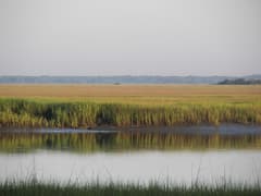 Hunting Island State Park near Beaufort