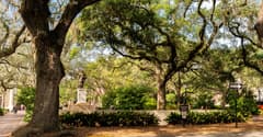 Savannah on the Charleston & Savannah route