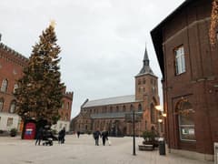 Odense on the Copenhagen, Odense & Aarhus route