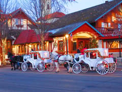 Frankenmuth on the Frankenmuth & Detroit route