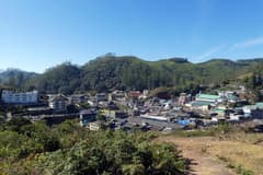 Munnar on the Kerala Backwaters & Tea Hills route