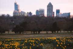 Dix Park & West Raleigh on the Raleigh New Year's Eve route