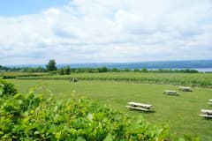Seneca Lake on the Finger Lakes Wine Trail route