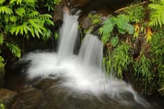 ʻAkaka Falls State Park near Big Island