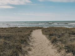 Dune Succession Trail near Indiana Dunes