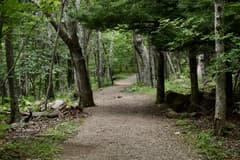 Trout Run Trail near Decorah