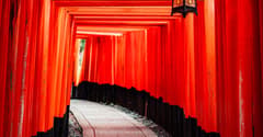 Fushimi Inari near Kyoto