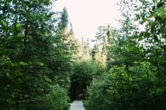 Gunflint Trail near Grand Marais