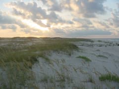 Bon Secour National Wildlife Refuge near Gulf Shores