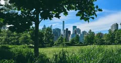Central Park near Manhattan