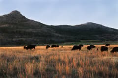 Mount Scott near Wichita Mountains