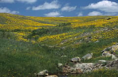 Wildlife refuge trails near Wichita Mountains